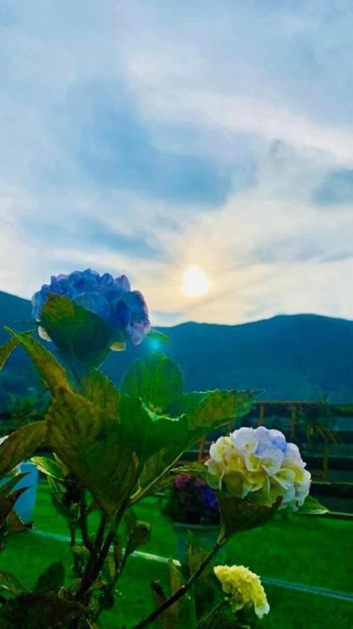 Ha Lu Homestay Лаокай Экстерьер фото